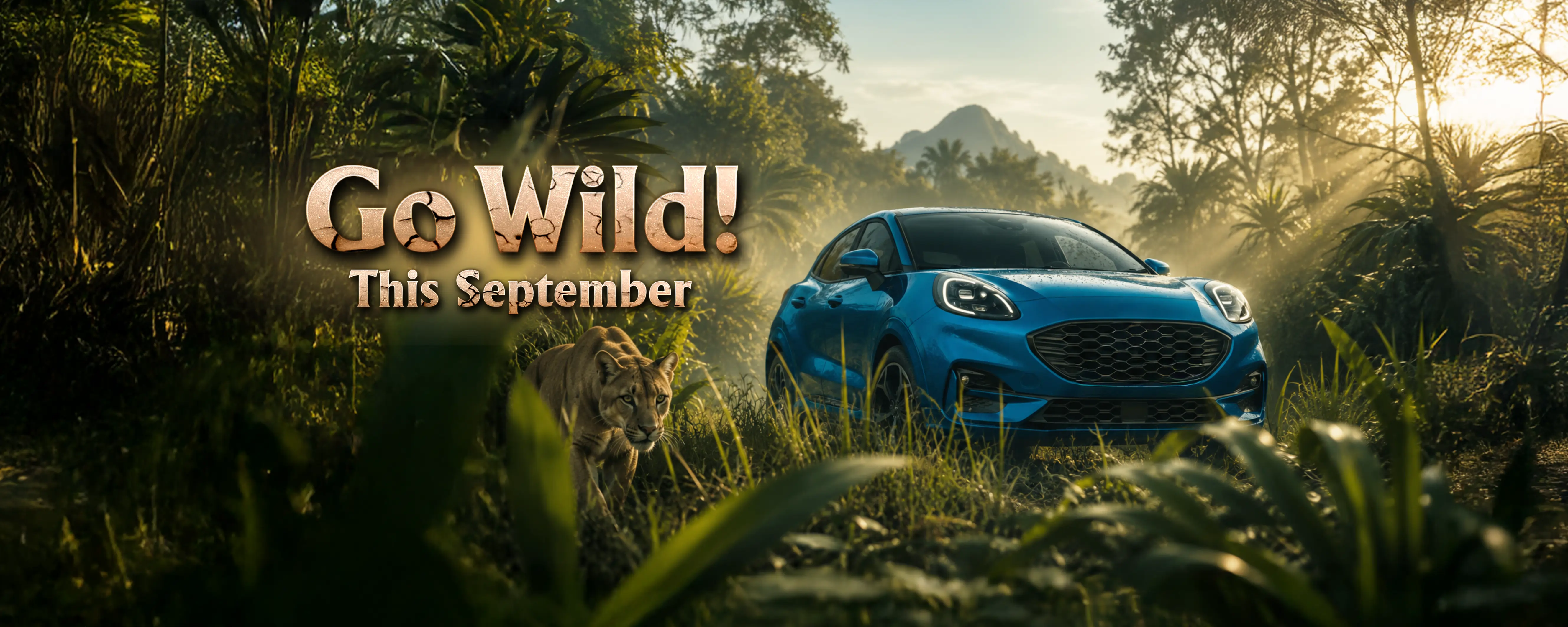 Start Your Next Adventure